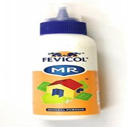 FEVICOL MR SQUEEZE BOTTLE 42g